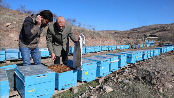 Küresel Isınma, Arıcılığı Tehdit Ediyor