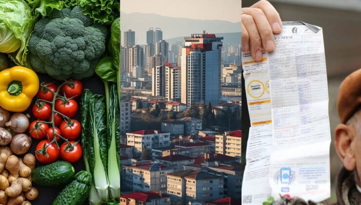 ASAL, “Ekonominin Sorunları” ve “Siyasi Gündem” Araştırmalarını Paylaştı