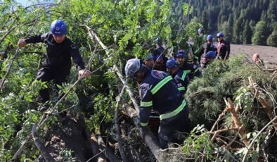 Gürcistan’nda Toprak Kayması: 5 Kişi Yaşamını Yitirdi