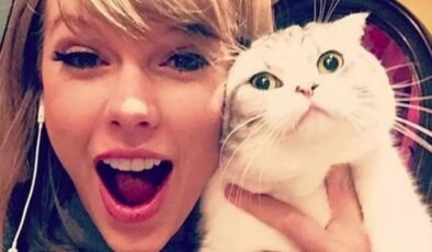 Taylor Swift ve Ünlü Scottish Fold Kedileri