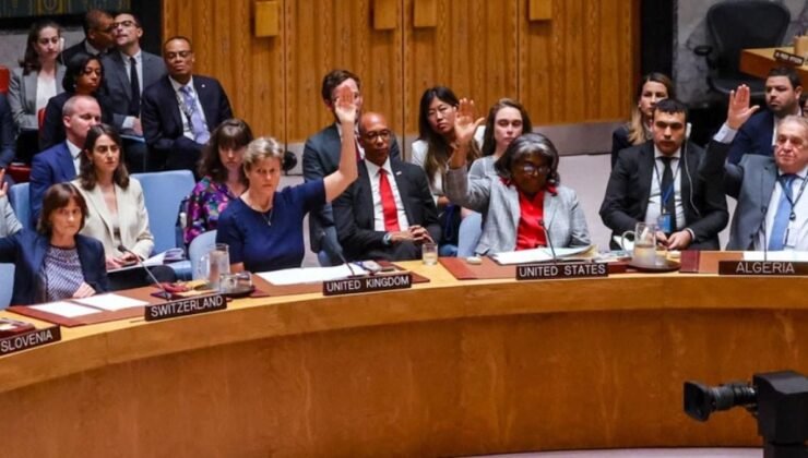 Arap Dünyasından BMGK Kararıyla İlgili Memnuniyet Açıklamaları