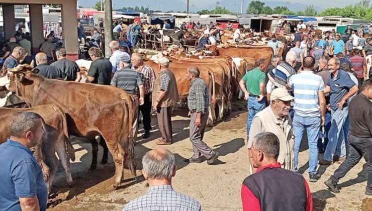 Emeklilerin Kurban Bayramı Hüsranı