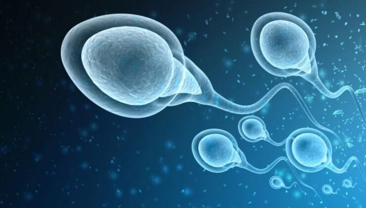 Erdoğan’ın Açıklamaları ve Sperm Hareketliliği Araştırması