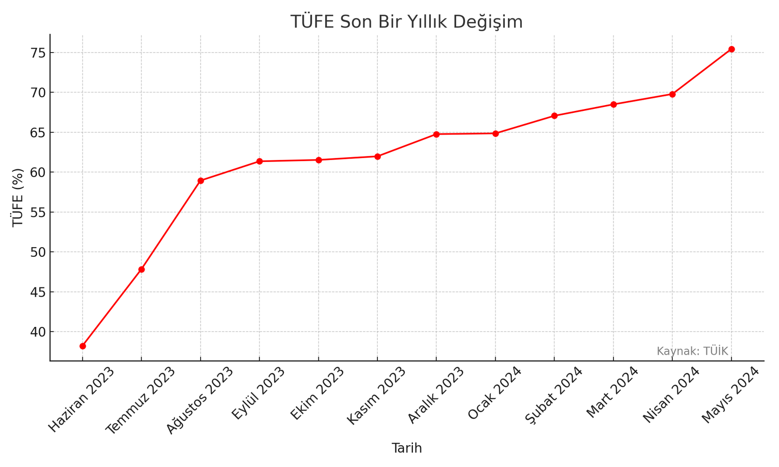 Hazine ve Maliye Bakanı Mehmet Şimşek'in Bir Yıllık Görev Süreci