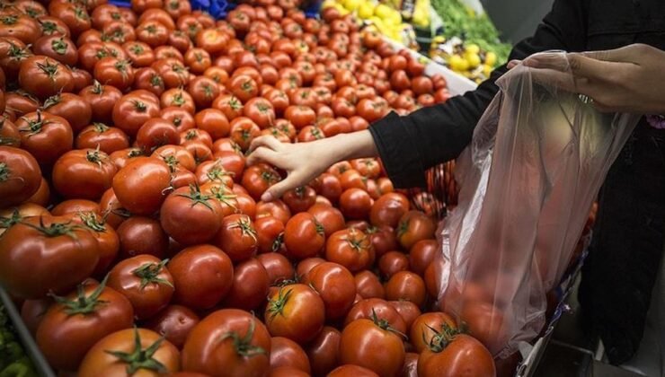 Türkiye Cumhuriyet Merkez Bankası Sektörel Enflasyon Beklentileri