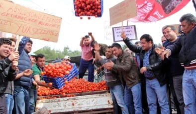 Türkiye’nin Tarımsal İthalata Bağımlılığı ve Üreticilerin Durumu