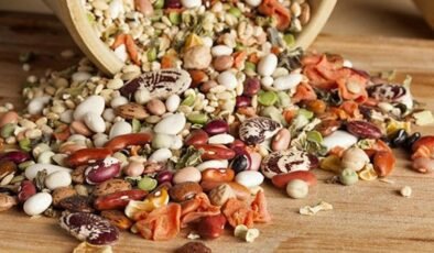 Bitkisel Protein Kaynakları