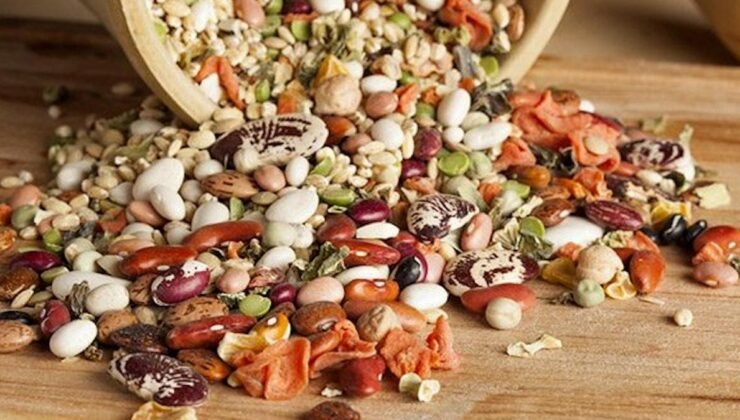 Bitkisel Protein Kaynakları