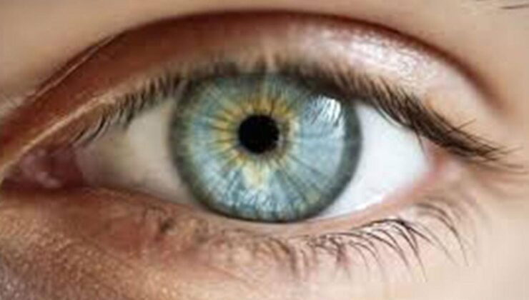 Göz Rengi ve Göz Hastalıkları: Almanya’daki Araştırmanın Bulguları