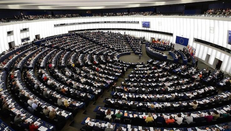 Hollanda’dan Türkiye’ye Sokak Hayvanları İçin Yasa Tasarısına Çağrı