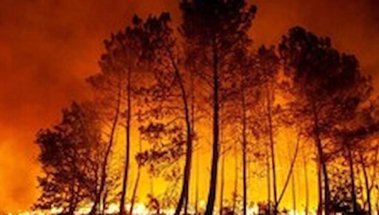 Isı Kubbeleri ve Orman Yangınları