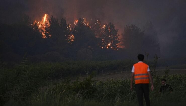 TZOB Genel Başkanı Şemsi Bayraktar’dan Haziran Ayı Değerlendirmesi