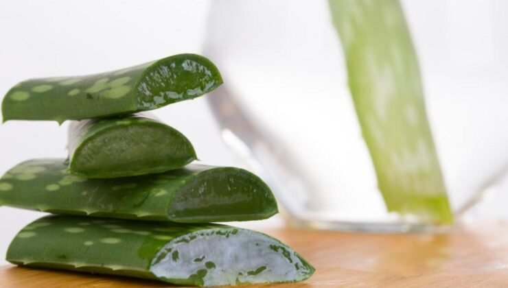 Aloe Vera’nın Cilt ve Saç Bakımındaki Faydaları