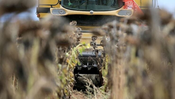 Edirne’deki Kuraklık Sorunu ve Tarım Üzerindeki Etkileri