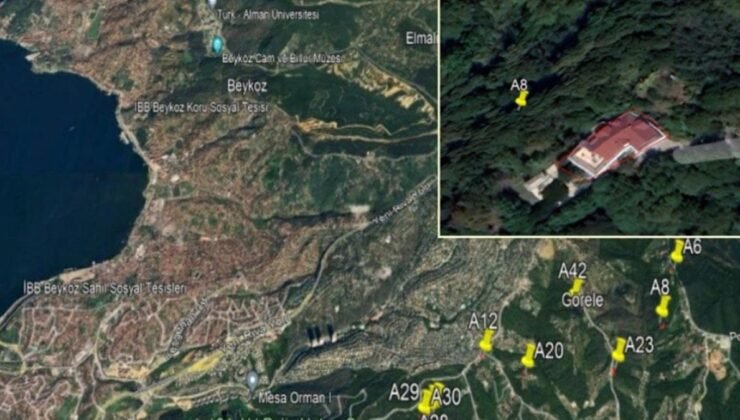 İstanbul Beykoz Ormanları Talan Ediliyor