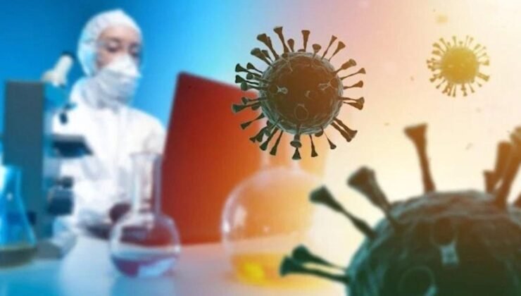 Maymun Çiçeği Hastalığı: Belirtileri, Bulaşma Yolları ve Vaka Durumu