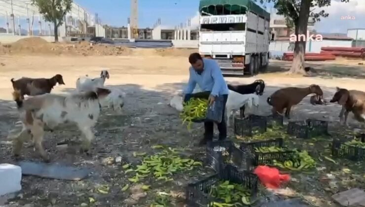 Pazarlarda Üretici ve Tüketicilerin Sorunları