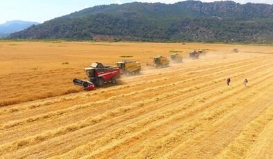 Tarım Arazilerinin Yeniden Üretime Kazandırılması Yönetmeliği