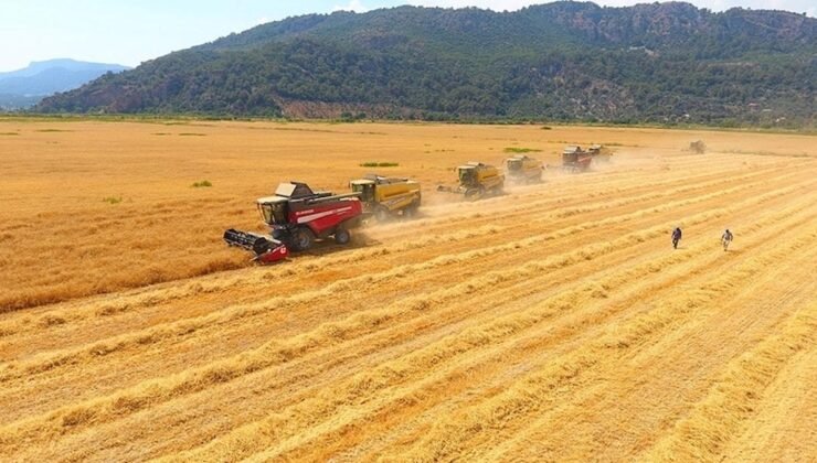 Tarım Arazilerinin Yeniden Üretime Kazandırılması Yönetmeliği