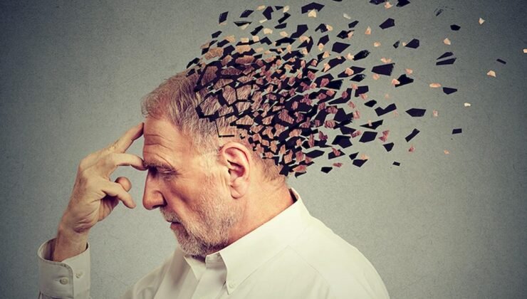 Fitoenin: Cilt ve Vücut Sağlığı Üzerindeki Etkileri ve Alzheimer Riskini Azaltma Potansiyeli