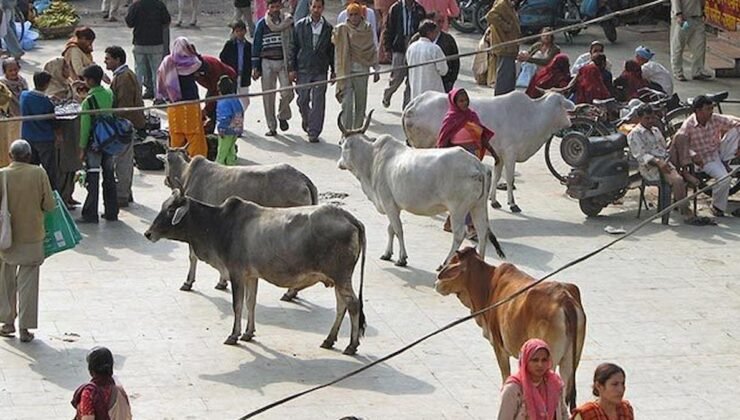 Hindistan’da Aşırı Hindu Milliyetçiliği ve Şiddet Olayları