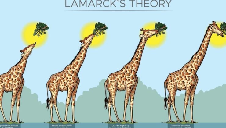 Lamarck Teorisi ve Evrimsel Biyoloji