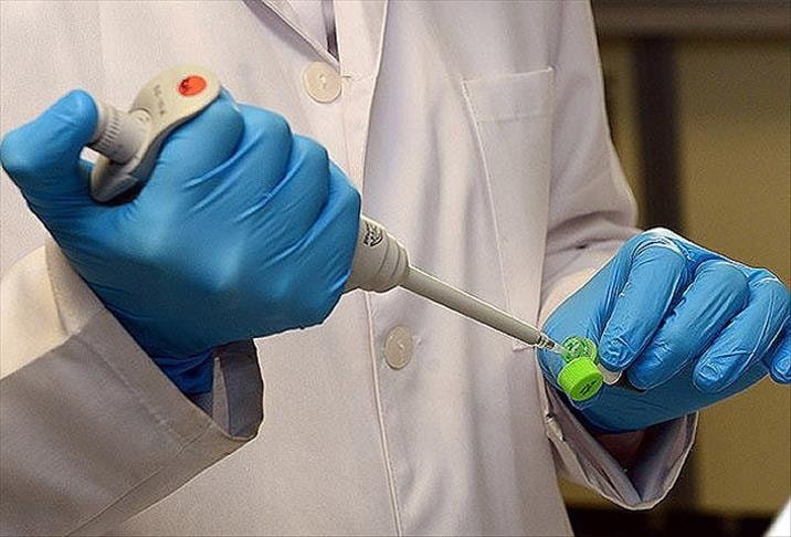 Mantar Enfeksiyonları ve Antimikrobiyal Direnç: Küresel Bir Tehdit