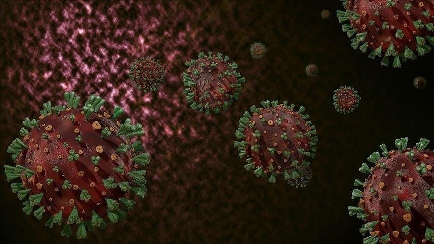 Antiviral İlaçlarla Hepatit C'nin Tedavisi