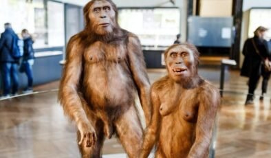 Neandertaller ve Modern İnsanların Buluşma Noktası: Zagros Dağları