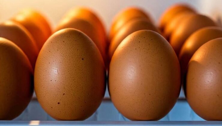 Son Kullanma Tarihi Geçmiş Gıdalar: Güvenle Tüketme Yöntemleri