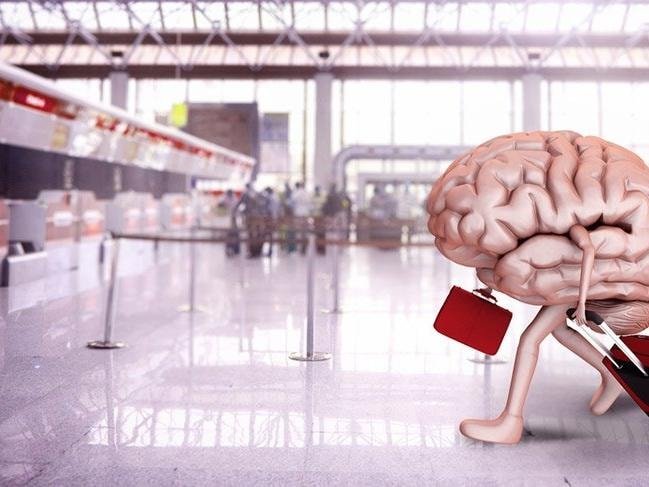 Beynin Hayatımızı Anlamlandırma Yeteneği Üzerine Yeni Bulgular