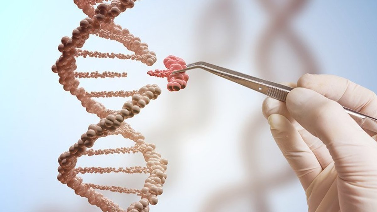 Fiziksel Egzersizin Yaşlılık Üzerindeki Etkileri