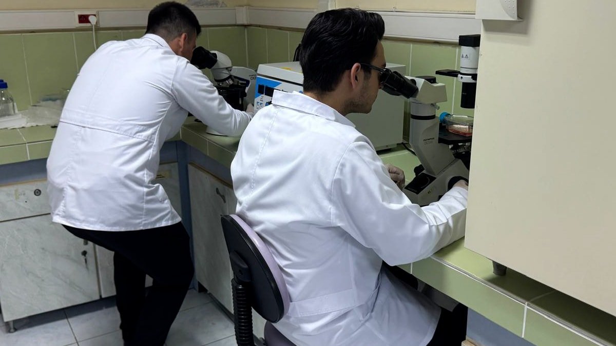 Giresun Üniversitesi'nde Meme Kanseri Kök Hücrelerinin Tespiti Projesi