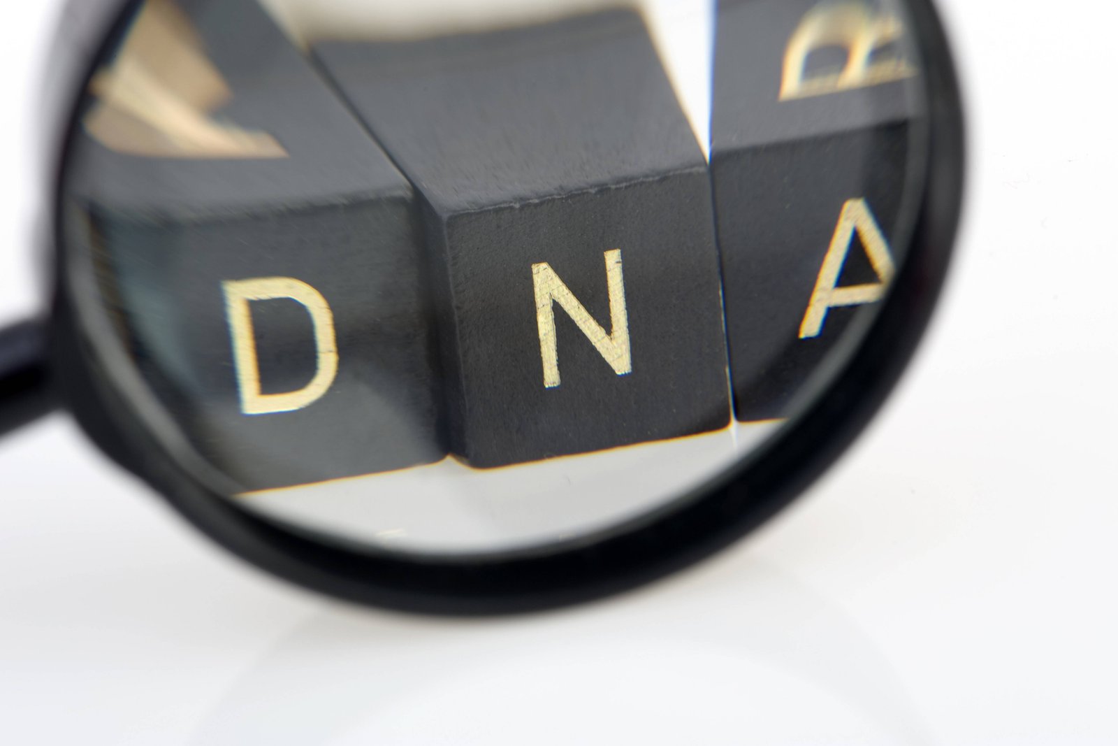 TOPUK KANI 9 HASTALIĞI TEST EDİYOR