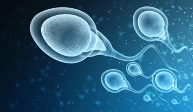 İnsan Gelişimi Üzerine Yeni Ufuklar: Embriyo Modelleri ve Etik Sorunlar