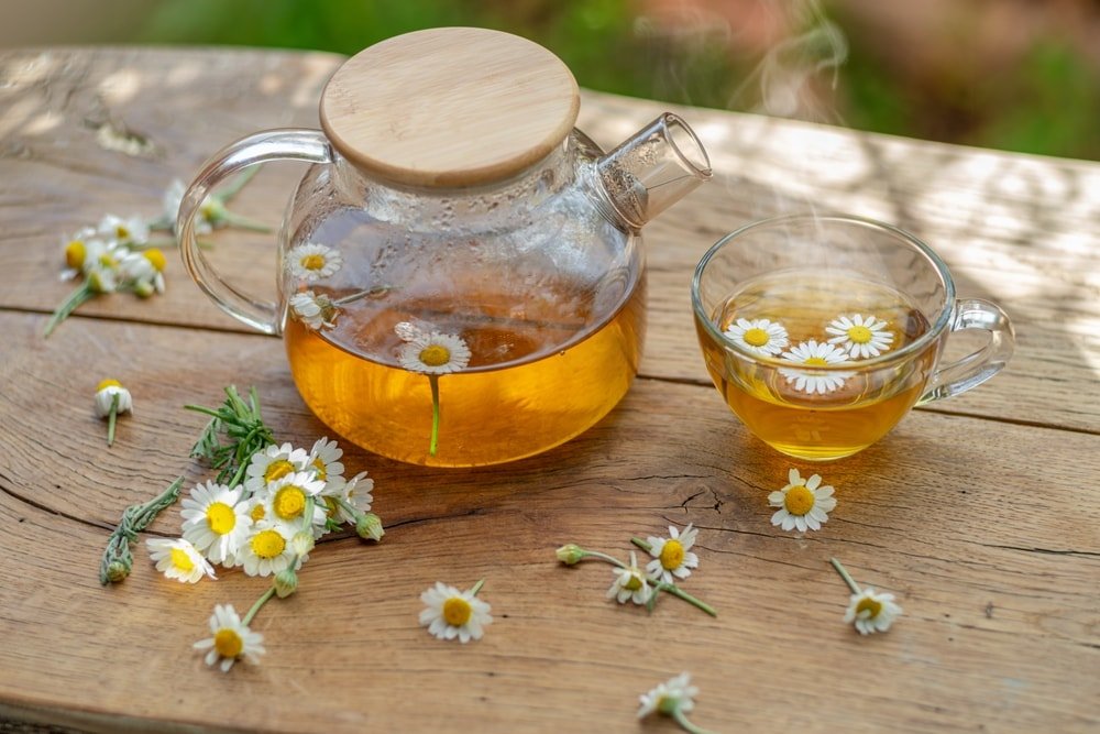 Papatya Çayının Faydaları: Stres Azaltma, Uykusuzluk Giderme ve Daha Fazlası