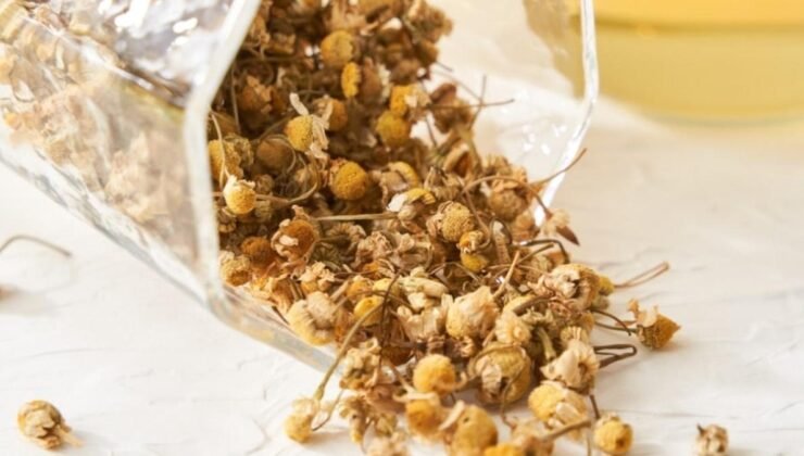 Papatya Çayının Faydaları: Stres Azaltma, Uykusuzluk Giderme ve Daha Fazlası