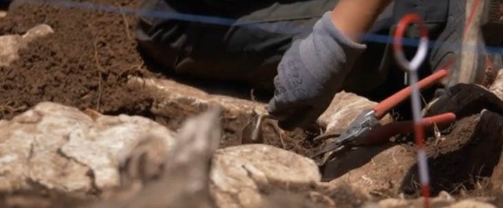 Sırbistan'da Neolitik Dönemden İzler: Svinjarička Čuka