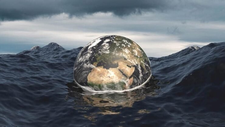 Ahtapotların Gelecekteki Rolü ve Ekosistem Üzerindeki Etkileri