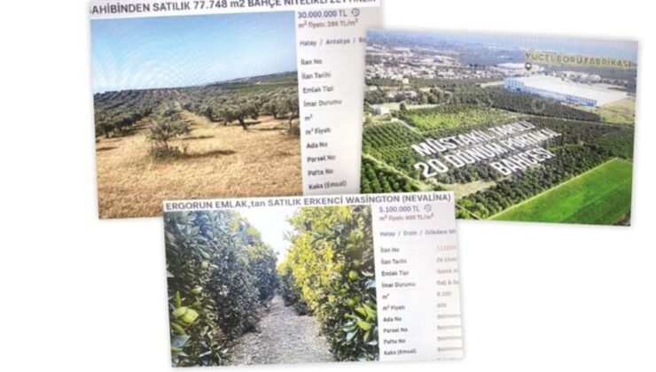 Çiftçilerin Zor Durumu: Arazi Satışları Artıyor