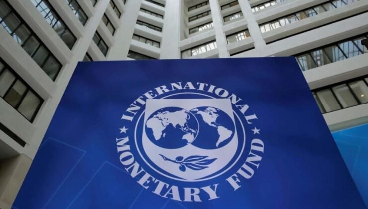 IMF ve Kredi Derecelendirme Kuruluşlarının Türkiye Ekonomisindeki Rolü