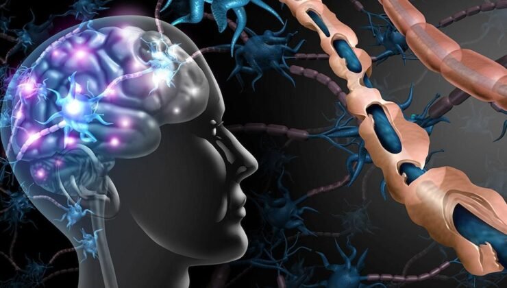 Keto Diyeti ve Otoimmün Hastalıklar: Yeni Araştırmaların Işığında