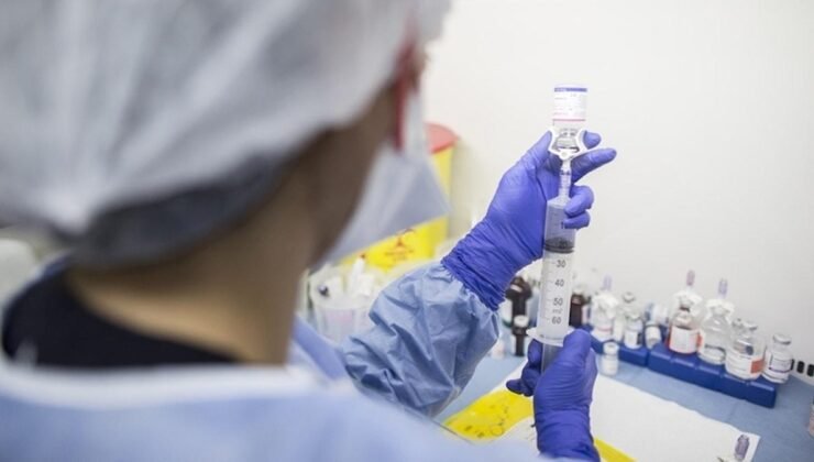 Poliplerin Kanser Riski ve Önemi