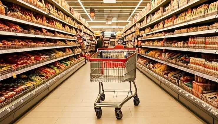 TÜRK-İŞ’in Kasım 2024 Açlık ve Yoksulluk Sınırı Araştırması Sonuçları