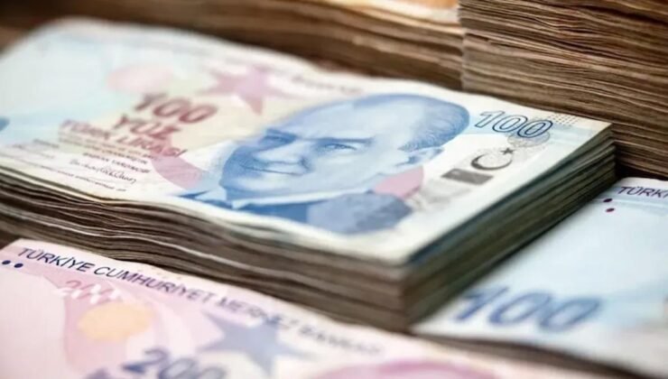 2024 Yılı Bütçe Gerçekleşme Rakamları ve Faiz Harcamaları