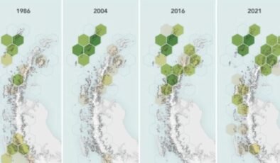 Antarktika Yarımadası’ndaki Bitki Örtüsü Yayılımı ve İklim Değişikliği
