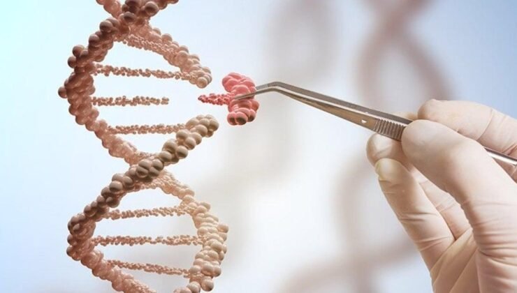 Frengi Hastalığının Kökeni ve Kolomb Teorisi Üzerine Yeni Bulgular