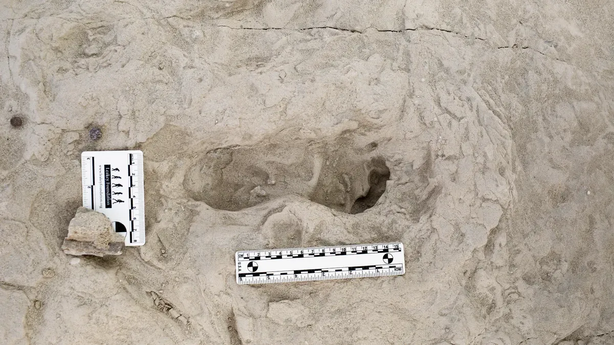 Adım Stili ve Anatomik Farklılıklar