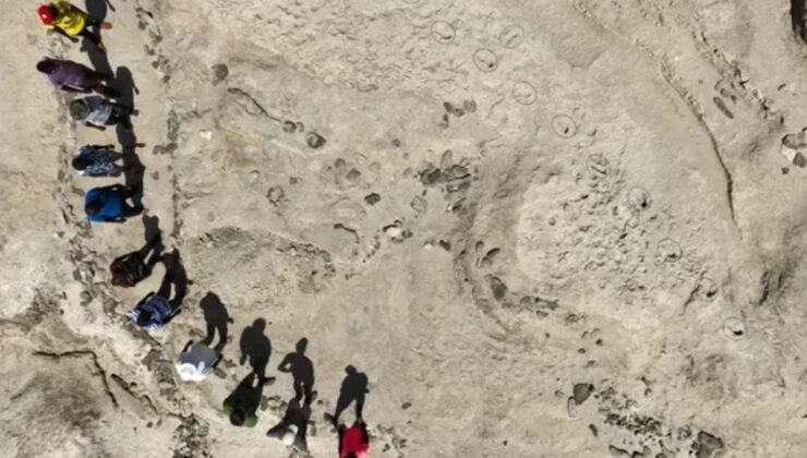 Hominin Ayak İzleri Keşfi: Homo Erectus ve Paranthropus Boisei