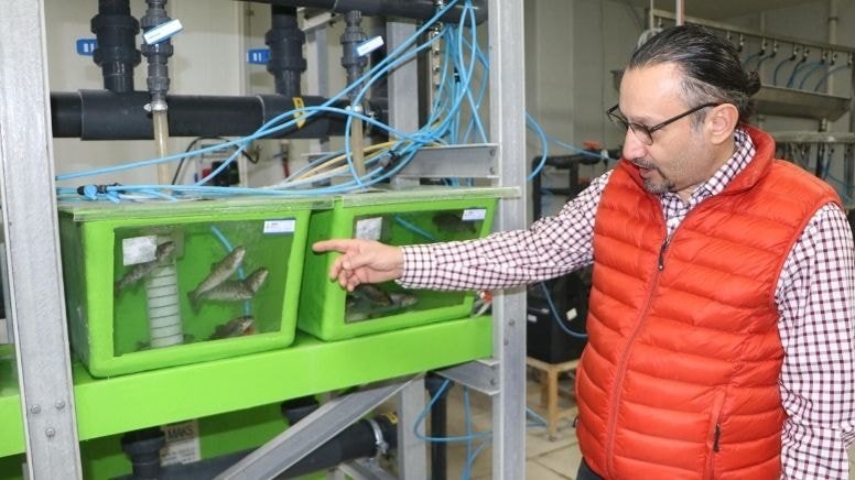 Karadeniz Alabalığında Genetik Gelişmeler: Prof. Dr. Abdulkadir Bayır'ın Çalışmaları